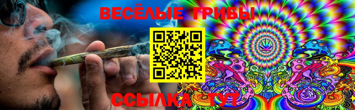 Псилоцибиновые грибы Cubensis Костомукша
