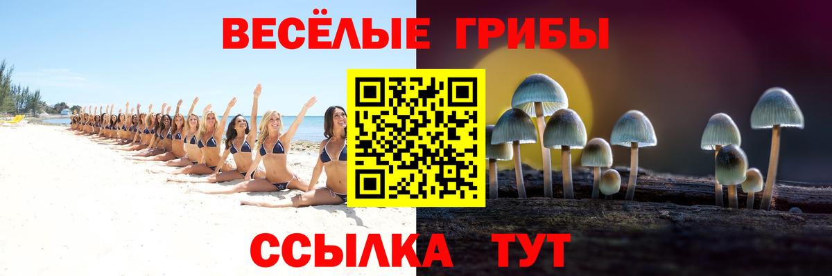 Галлюциногенные грибы Psilocybe  Вход с VPN  Костомукша  Галлюциногенные грибы Cubensis 