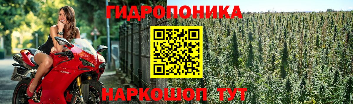 Бошки марихуана SATIVA & INDICA Костомукша